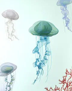 Photo by Mariko Kusumoto on December 07, 2023.