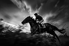 马术项目人物运动形象