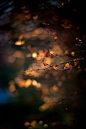 <a href="http://www.flickr.com/photos/kellysereda/6890097531/in/photostream/" rel="nofollow" target="_blank">www.flickr.com/...</a>