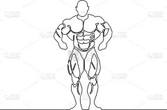 连续性,成一排,躯干,健美身材,人,男人,巨大的,力量,放松