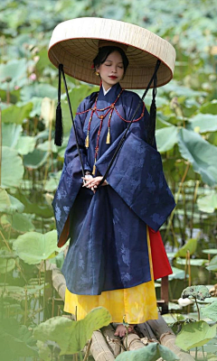 山色空蒙雨亦奇、采集到动态观察