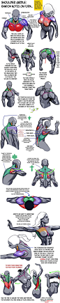 Shoulder Girdle continued... by N3M0S1S on deviantART: 