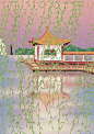 镜湖细柳（视觉中国）