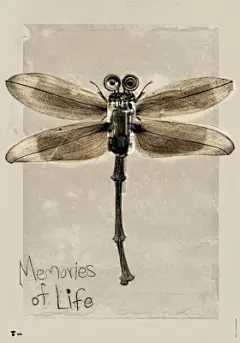 2010台湾海报设计师协会年度展部分作品(4)