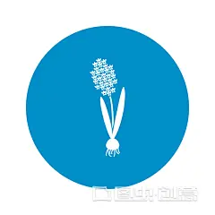 白色背景上的风信子图标 - 图虫创意图库正版图片,视频,插图,微博微信公众号配图,自媒体素材