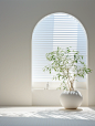 An empty window with plants and blinds, in the style of light white and white, streamline elegance, jazzy interiors, japanese minimalism, bright and bold color palette, ethereal trees, light and airy