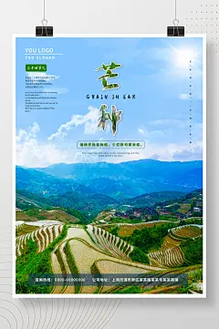 芒种节气中国传统节日插秧海报