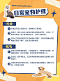 宠物护理知识科普小红书配图
