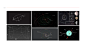 branding  identity metaverse nft operating system Os protocol wilder world zero