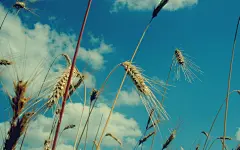 高清Lomo风格小清新手机壁纸