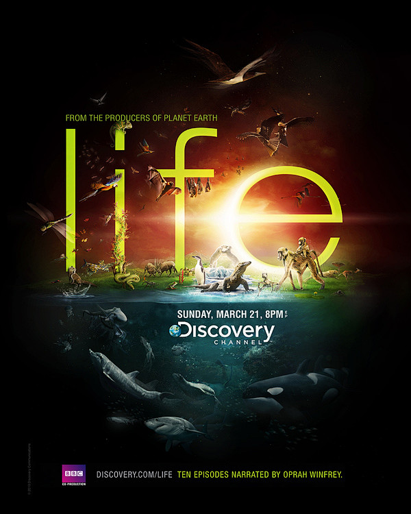 Discovery Channel - ...