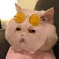 沙雕头像