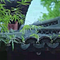 “ 花开但愿人长久，人闲难得花依旧，夕阳暂留。酒中仙，尘外客，林间友。黄橙带露时，紫蟹迎霜候，香醪羡篘，酒和花，人共我，无何有。细杖藜，宽袍袖，断送了西风罢手。常待做快活头，永休开是非口。” 元 · 马致远