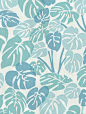 Deliciosa fabric in Powder by Aimée Wilder: 