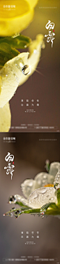 白露节气海报-志设网-zs9.com