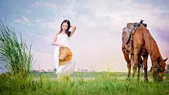 漂亮的容貌女子,白色长裙子,马,养眼美女桌面壁纸