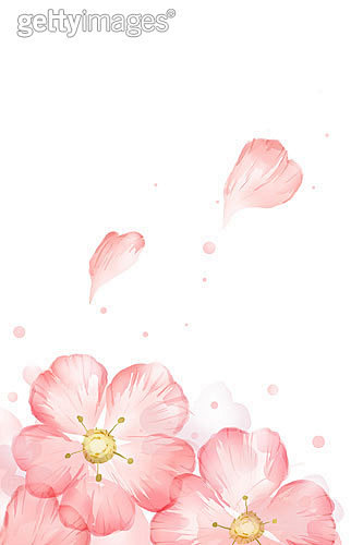 花朵,花,桃花,花瓣,插图画法_6a4f...