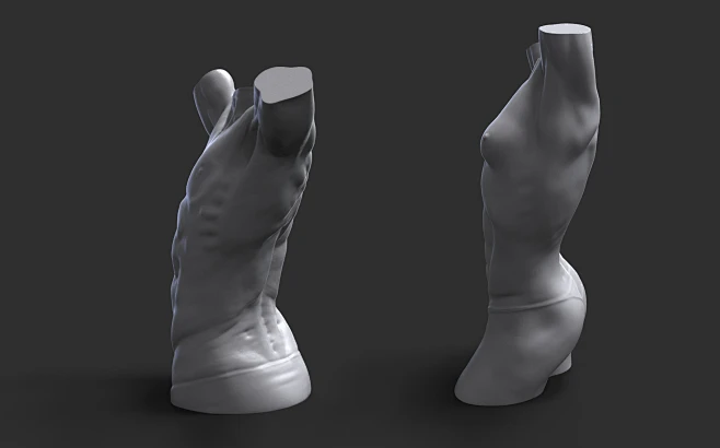Torso anatomy, Caterina Zamai : Quick anatomy study for a comparison ...