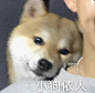 表情包