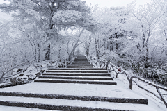 忘尘若谷采集到风云雨电雪/自然现象