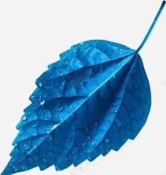 美体瑜伽宣传海报高清素材 瑜伽 页面网页 平面电商 创意素材 png素材