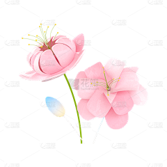 杨欢0802采集到3D