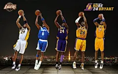 NBA巨星科比电脑高清壁纸1680x1050【10】