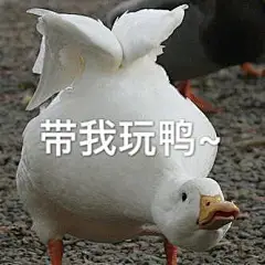 一组“冲鸭”表情包 超可爱的 晚安鸭~ ​