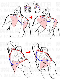 我若离去采集到教程