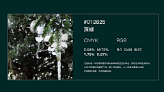 羽墨啊采集到P-配色