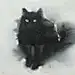 月释梦