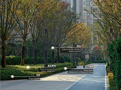 慕辞A采集到园路步道