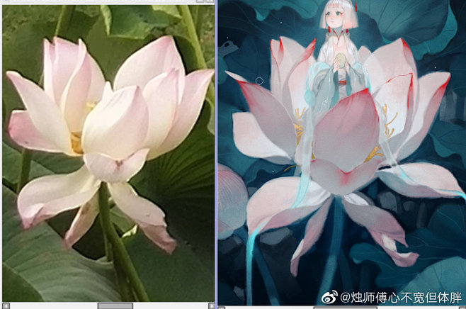 烛师傅心不宽但体胖的照片 - 微相册
