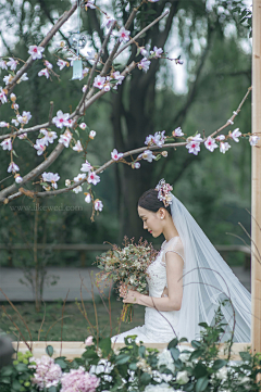 7鱼丸采集到japanese style（outdoor）