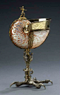 鹦鹉螺杯也许是西方装饰艺术中最令人惊叹的一类，在文艺复兴和巴洛克时期，人们发现了鹦鹉螺这种奇妙的古生物，数学家惊叹于其形态的内部壳室的奇妙结构，艺术家惊天于其优雅神秘的美感，以这珍奇海洋生物打造奢华酒器，这便是鹦鹉螺杯。欧洲历代显赫王室与贵族，都以拥有工艺极致的鹦鹉螺杯为荣，匠人 ​​​​...展开全文c