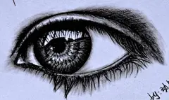 心灵的窗户 眼睛素描手绘