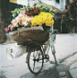 Flower Vendor, Hanoi, Vietnam. | Let's go to Hanoi