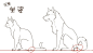 猫和狗区别画法，从五官到姿势的详细教程。 #绘画学习#