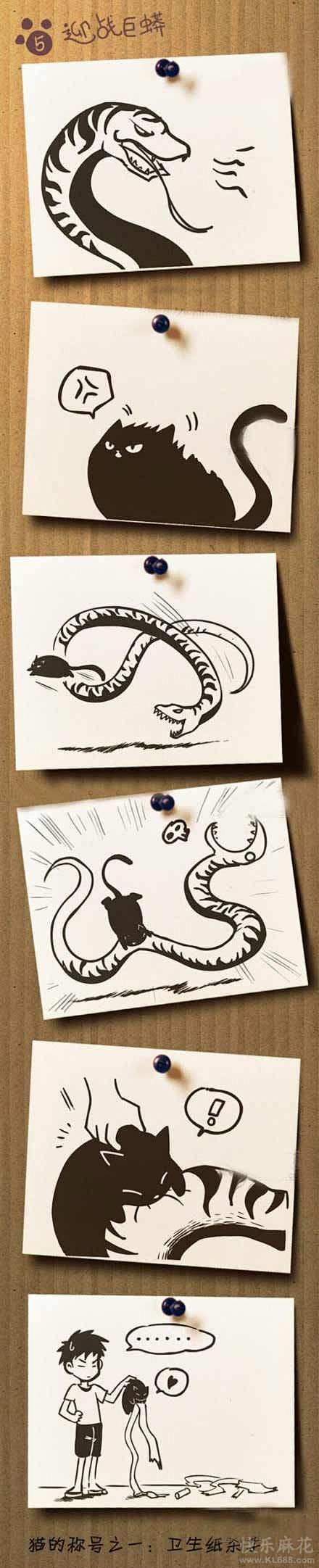 梦想猫