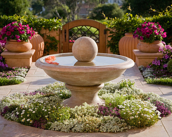 A Rosarian's Dream G...