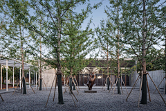 INSANE_K采集到TREE ARRAY