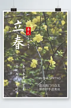 立春春节春天二十四气节