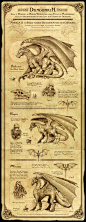 Dragonkin I by Feliche on deviantART chart | NOT OUR ART please click artwork for source | WRITING INSPIRATION for Dungeons & Dragons DND Pathfinder PFRPG Warhammer 40k Star Wars Shadowrun Call of Cthulhu and other d20 RPG fantasy science fiction scif