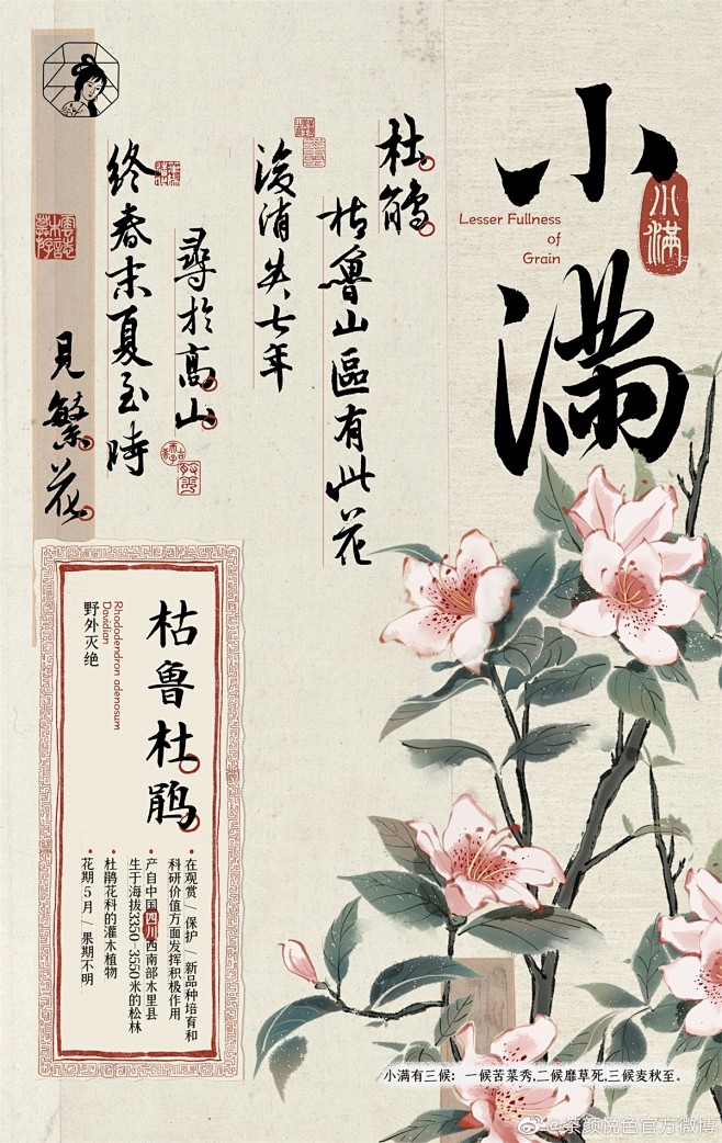 茶颜悦色24节气海报... - @三个设...