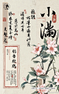 茶颜悦色24节气海报... - @三个设计师的微博 - 微博