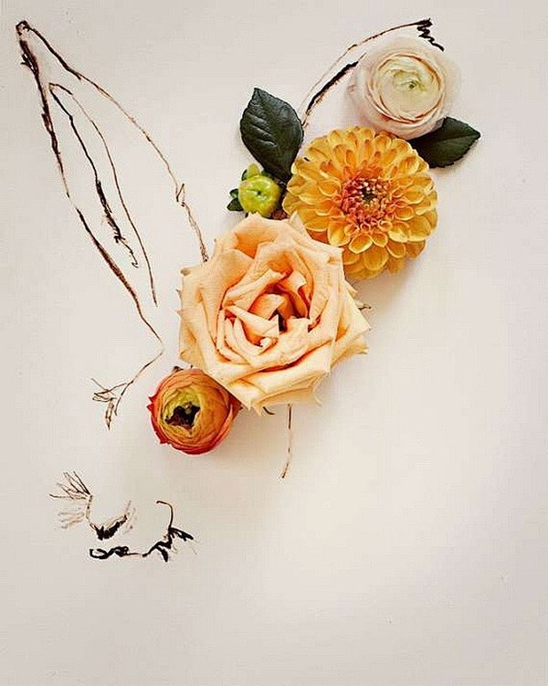 Kari Herer:花卉与插画的创意结...
