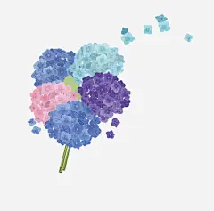 满天星花高清素材 页面 页面网页 平面电商 创意素材 png素材