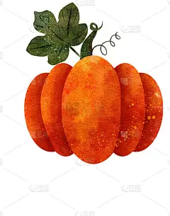 橙色纹理的大水彩南瓜叶。插图的秋天传统蔬菜孤立在白色。短的绿色茎，有叶。感恩节、万圣节、秋天象征装饰