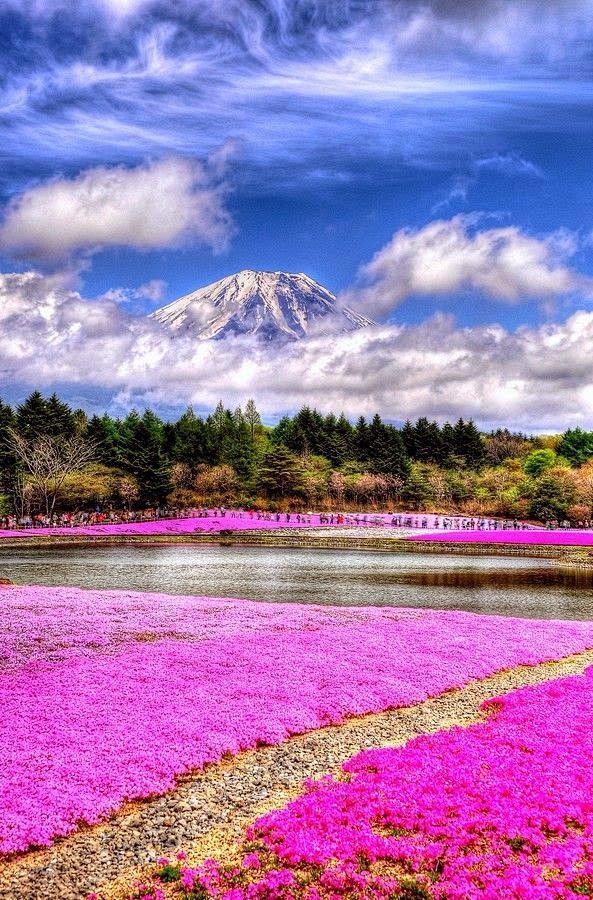 Mt. Fuji, Japan富士山，日...