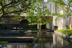 maystacey采集到示范区
